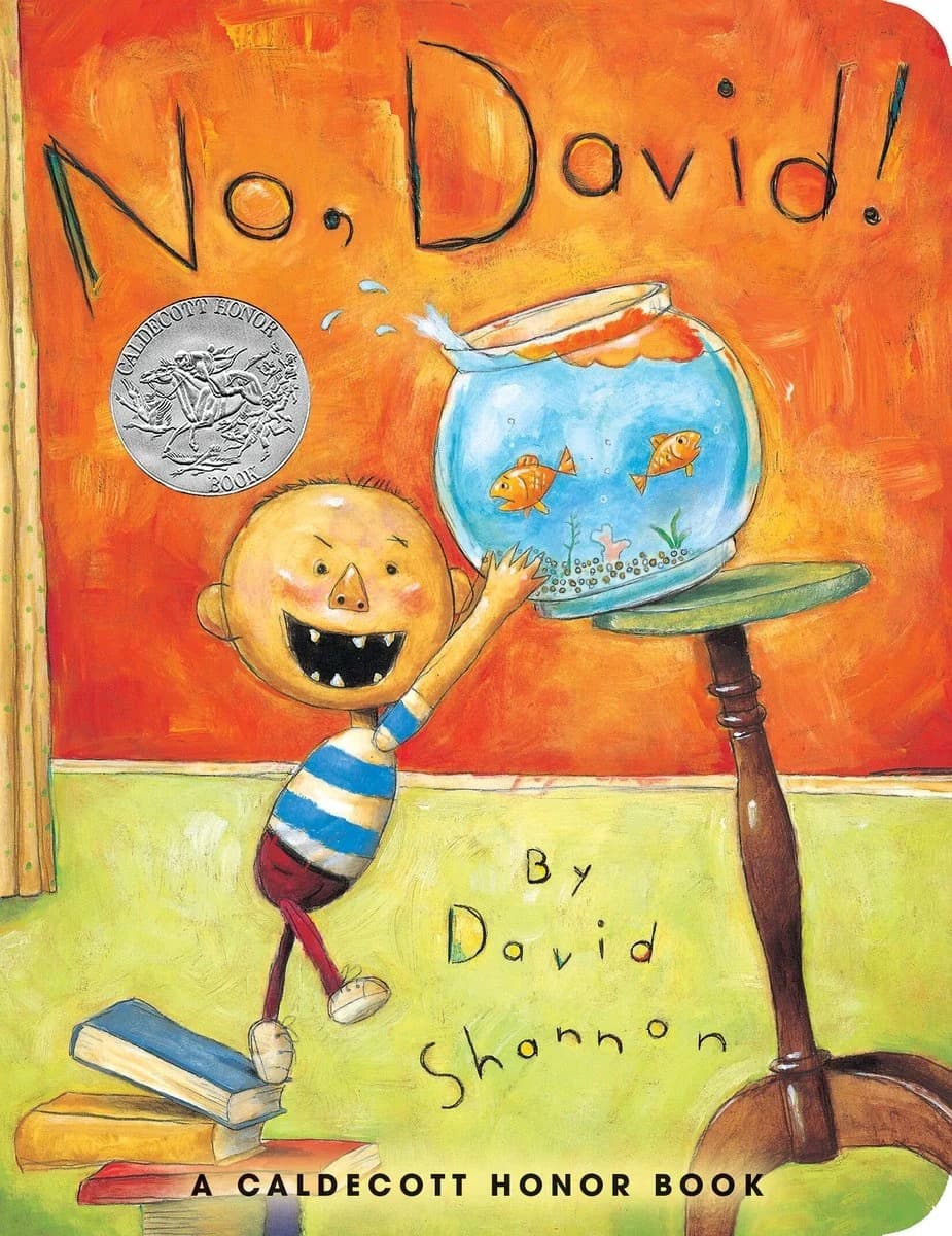 No, David! cover